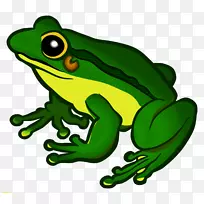 青蛙剪贴画-青蛙