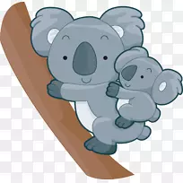 桌面壁纸笔记本电脑高清电视台式机桌面环境考拉