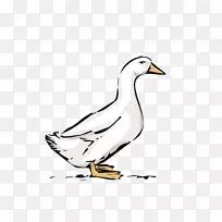 鸭鹅夹艺术-鹅