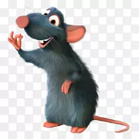 鼠黑鼠卡通动画-老鼠