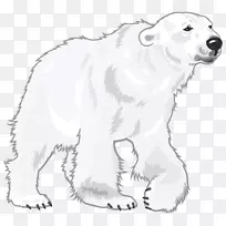 北极熊大比利牛斯地球极地下载-北极熊