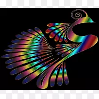 鸟类分形艺术图形设计羽毛孔雀