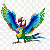 巴西鹦鹉猩红鹦鹉