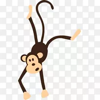 黑猩猩手钻小猴子灵长类猴子
