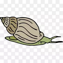 海蜗牛贝壳剪贴画-蜗牛