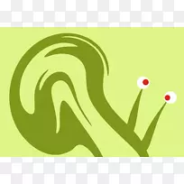 电视摄影.蜗牛