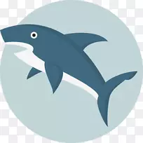 鲨鱼牙齿电脑图标-鲨鱼