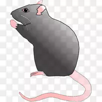 鼠沙鼠夹艺术-大鼠
