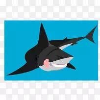 鲨鱼剪贴画-鲨鱼