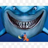 布鲁斯鲨鱼电影皮克斯动画-鲨鱼