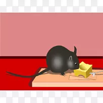 鼠类诱饵-老鼠