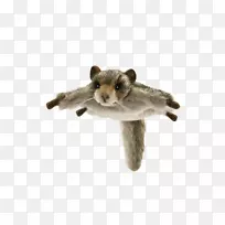 毛绒动物和可爱的玩具熊西伯利亚飞松鼠树松鼠.松鼠