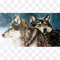 狗北极狼画壁纸-狼