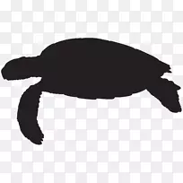 海龟爬行动物剪影剪贴画-海龟