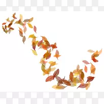 秋叶彩色剪贴画-秋叶