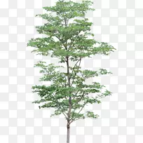 树状电脑图标剪贴画灌木丛