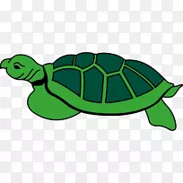 海龟爬行动物龟剪贴画