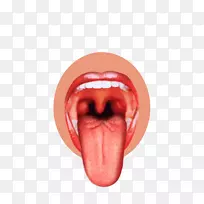 舌觉感觉神经系统味蕾人嘴舌