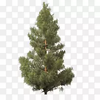 伯利恒人造圣诞树-冷杉