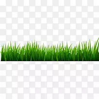 高尔夫球场草坪剪贴画-草地