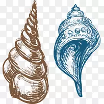 卡拉科拉夹艺术-海螺
