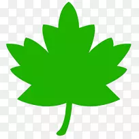 加拿大菜芝士蛋糕食品博客-绿叶