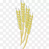 小麦计算机图标谷类剪贴画-小麦