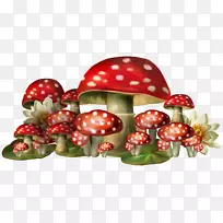 普通蘑菇电脑图标-蘑菇