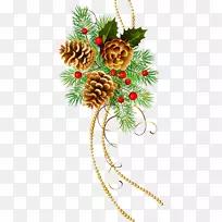 圣诞树松树针叶锥夹艺术.松果