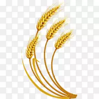 小麦谷类剪贴画-小麦