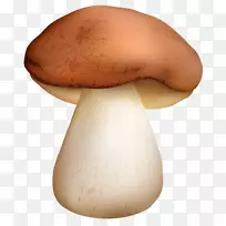 食用菌剪贴画-蘑菇