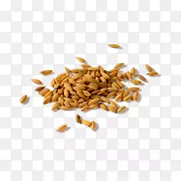 稻谷，稻种，稻谷，小麦
