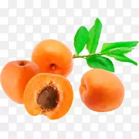 水果食品杏素菜画-杏