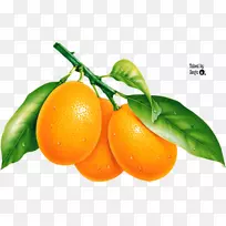 柚子，橘子-芒果