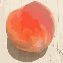 密苏里桃子剪贴画-桃子