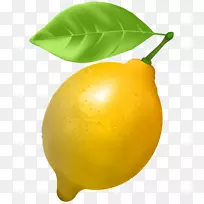 柠檬香橙切花艺术.柠檬