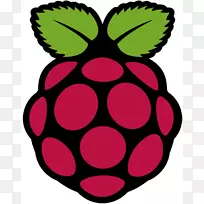 树莓pi标识单板电脑-覆盆子