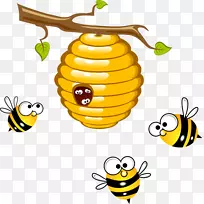 蜂巢蜂剪贴画-蜂蜜
