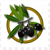 橄榄油水果橄榄油