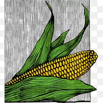 玉米芯上的玉米爆米花狗玉米片玉米