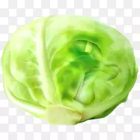大白菜蔬菜纳帕卷心菜剪贴画-卷心菜