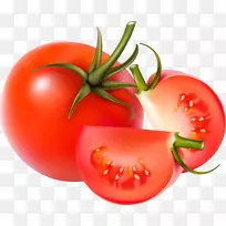 蓝色番茄圈蔬菜砧木-番茄