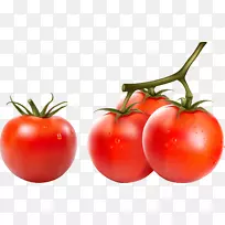 樱桃番茄蔬菜辣椒剪贴画-番茄