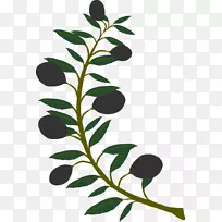 橄榄枝电脑图标剪辑艺术橄榄