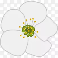 樱花苹果剪贴画樱桃图片