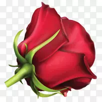 玫瑰红夹子艺术-玫瑰