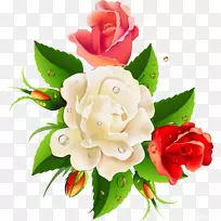 花边花卉设计剪贴画-白玫瑰