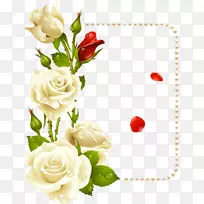 玫瑰花边框画夹艺术.白玫瑰