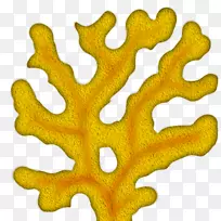 珊瑚礁剪贴画-珊瑚树剪贴画
