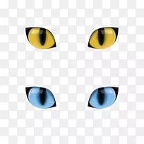 猫眼猫